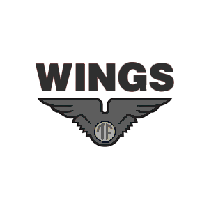 2-wings